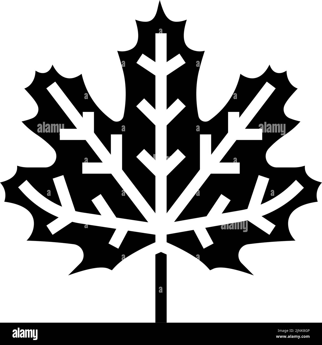 maple leaf glyph icon vector illustration Stock Vector Image & Art - Alamy