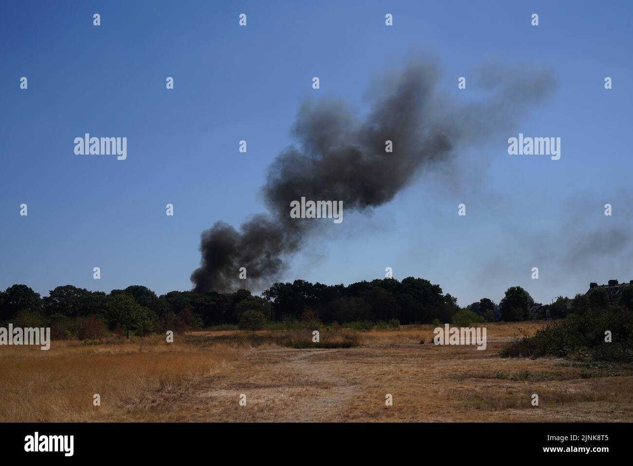 Smoke rises from behind trees near the scene of a grass fire on Leyton flats in east London, as a drought has been declared for parts of England following the driest summer for 50 years. Picture date: Friday August 12, 2022. Stock Photo
