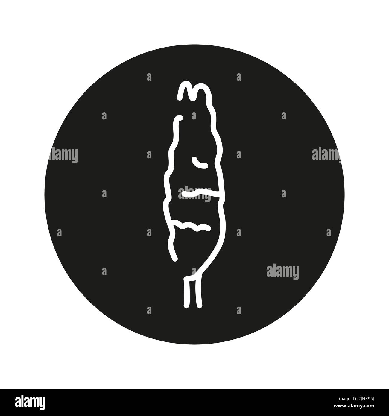 Poplar tree color line icon. Pictogram for web page, mobile app, promo ...