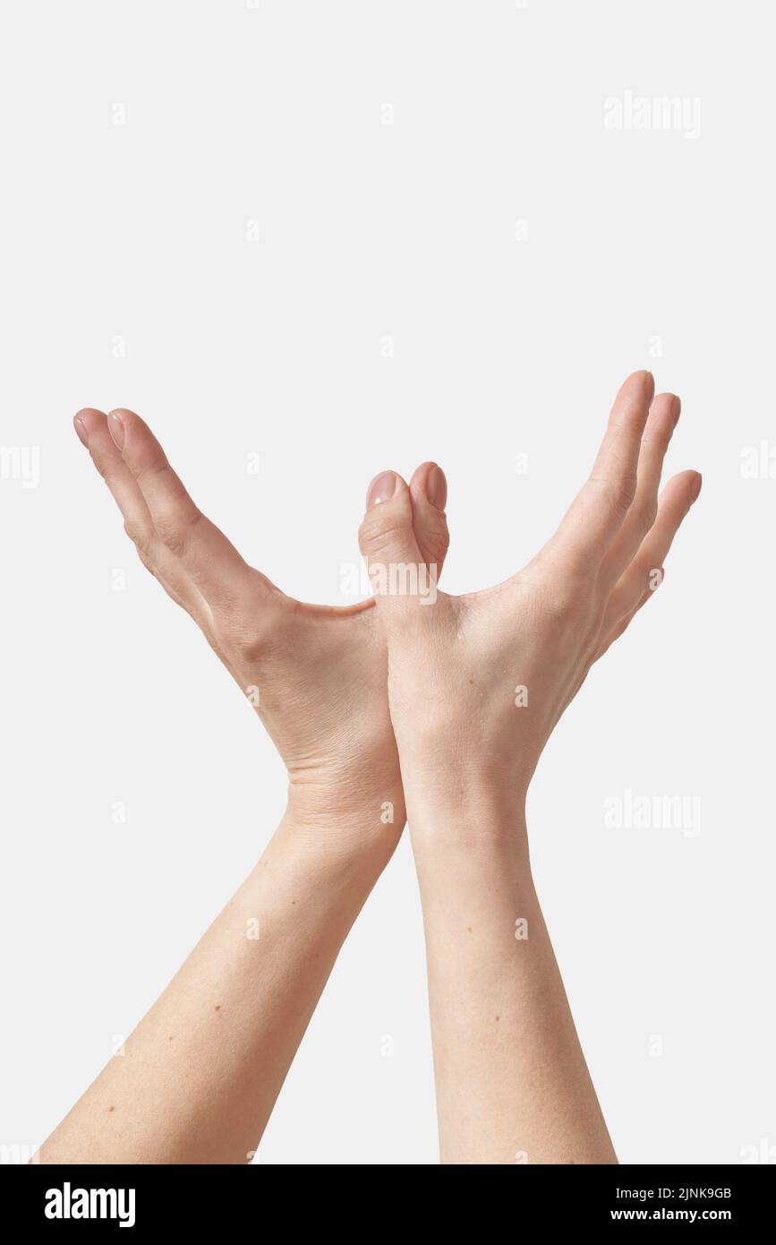 gestures, body language, gesturing, nonverbale kommunikation, gesture