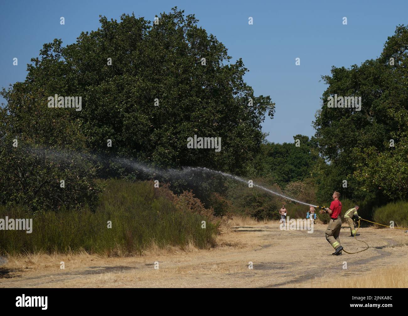 Firefighters battle a grass fire on Leyton flats in east London, as a drought has been declared for parts of England following the driest summer for 50 years. Picture date: Friday August 12, 2022. Stock Photo