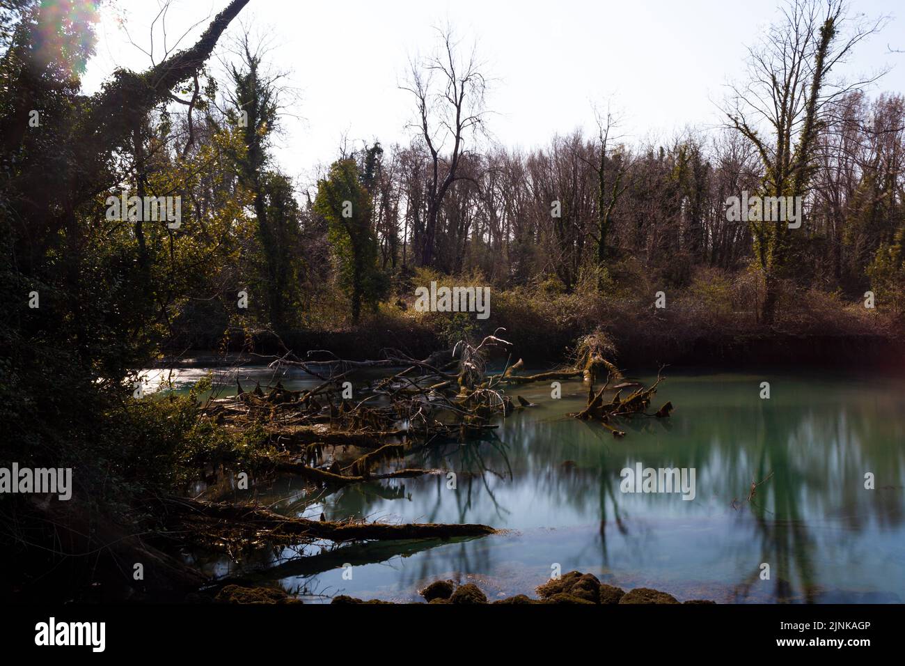 View of the Timavo river resurgences, Italy Stock Photo