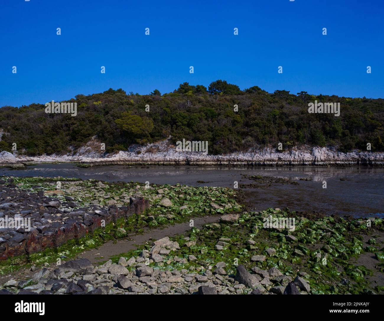 View of the Timavo river resurgences, Italy Stock Photo