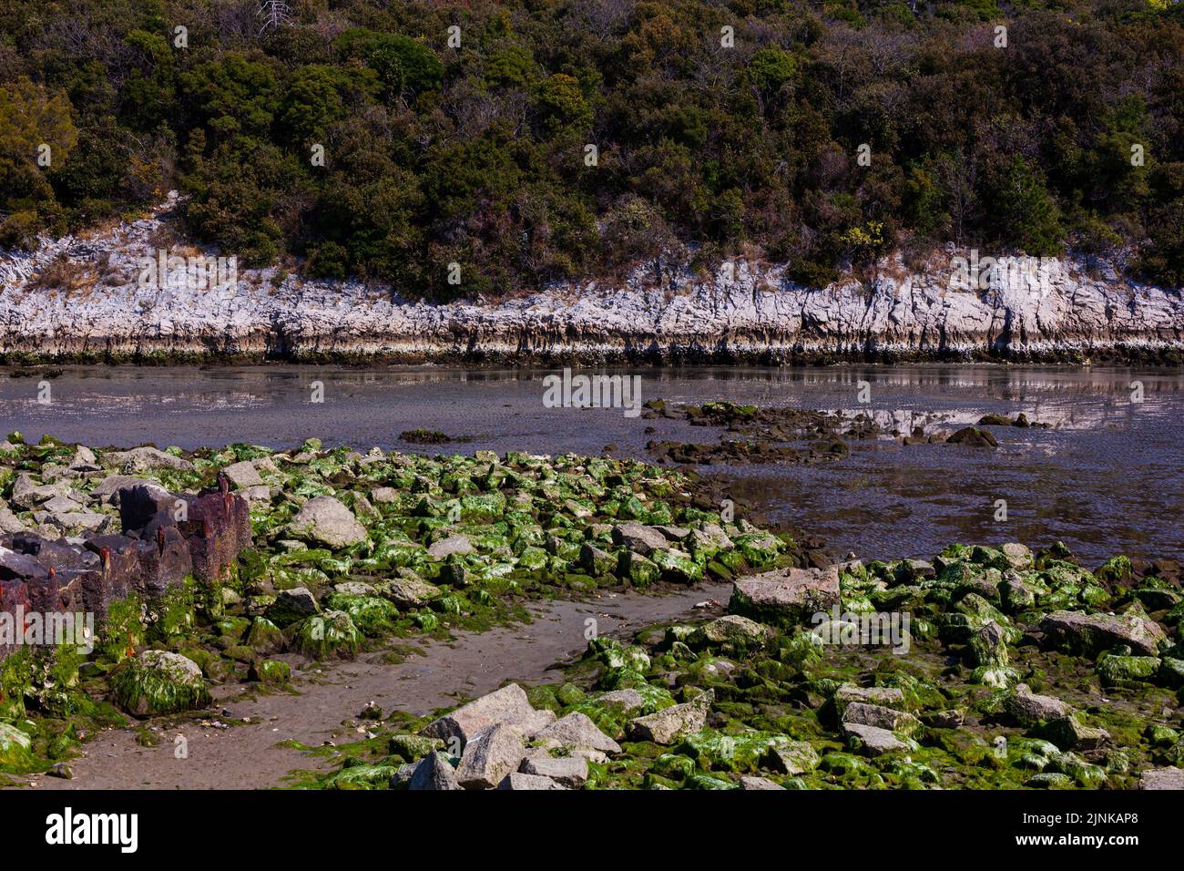 View of the Timavo river resurgences, Italy Stock Photo