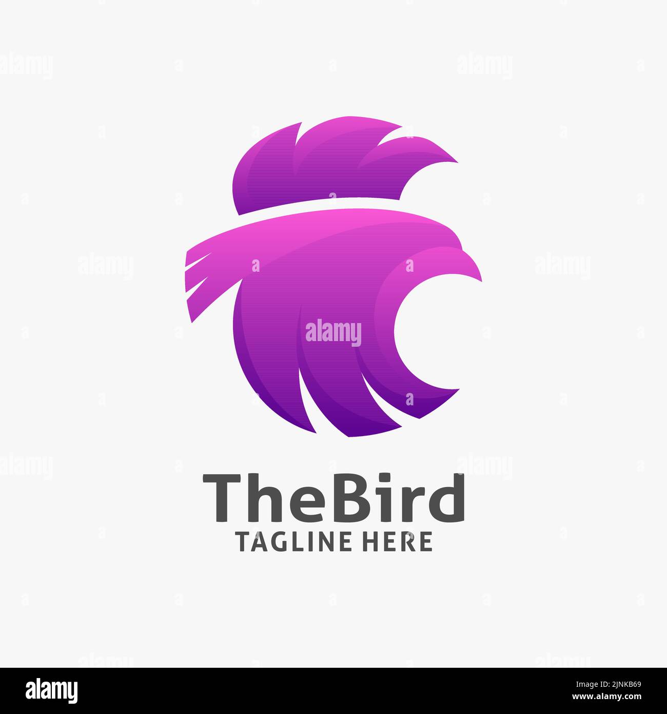 bird-logo-design-in-circle-concept-stock-vector-image-art-alamy