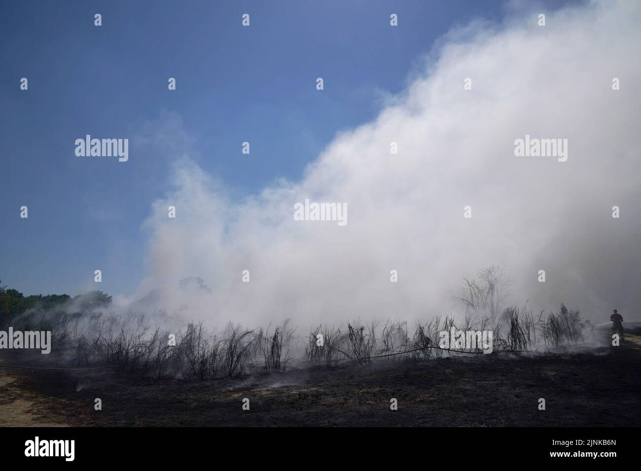 Firefighters battle a grass fire on Leyton flats in east London, as a drought has been declared for parts of England following the driest summer for 50 years. Picture date: Friday August 12, 2022. Stock Photo