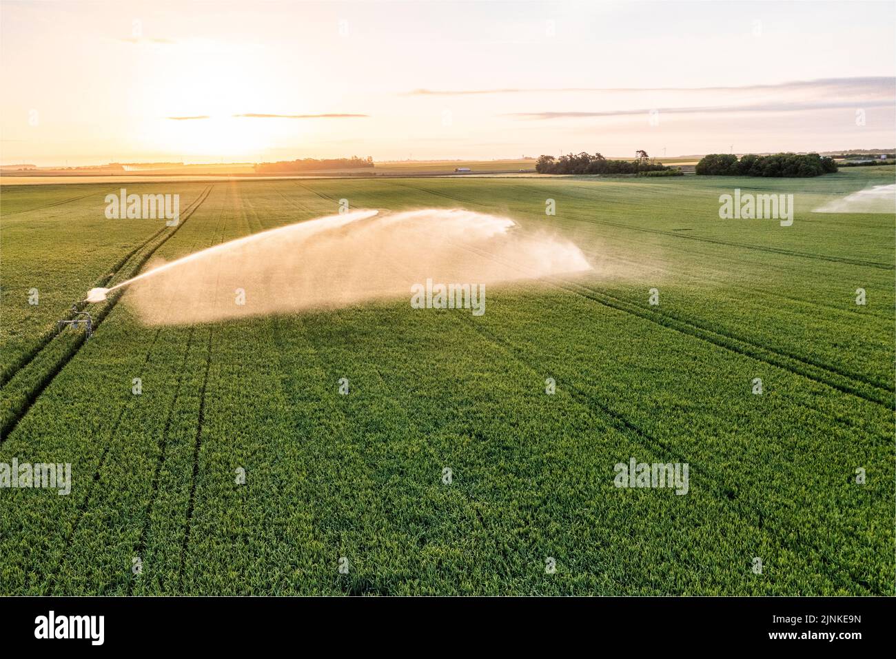 France, Eure et Loir, Beauce, Ymonville, irrigation of a field in spring (aerial view) // France, Eure-et-Loir (28), Beauce, Ymonville, irrigation d'u Stock Photo