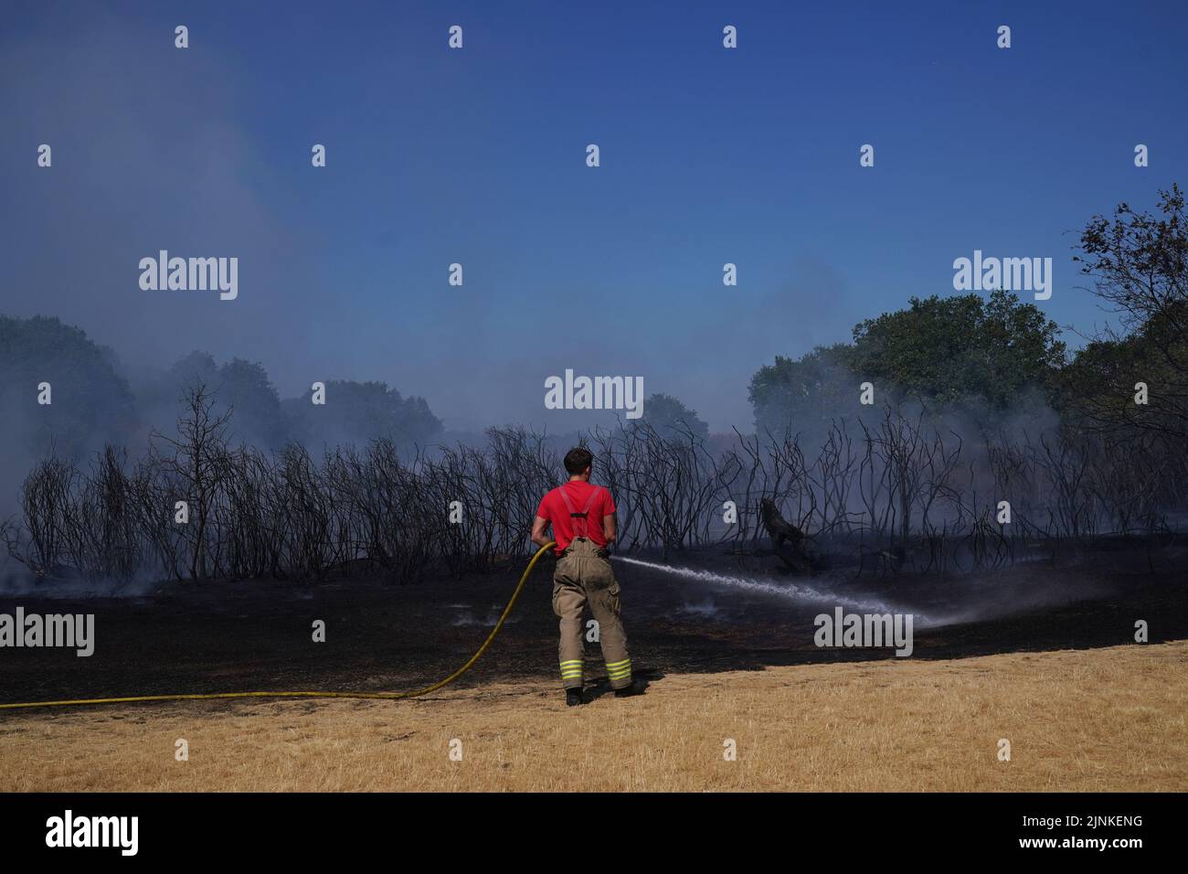 A firefighter dampens down a grass fire on Leyton flats in east London, as a drought has been declared for parts of England following the driest summer for 50 years. Stock Photo