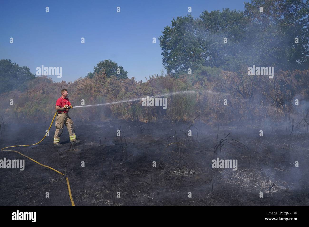 A firefighter dampens down a grass fire on Leyton flats in east London, as a drought has been declared for parts of England following the driest summer for 50 years. Stock Photo