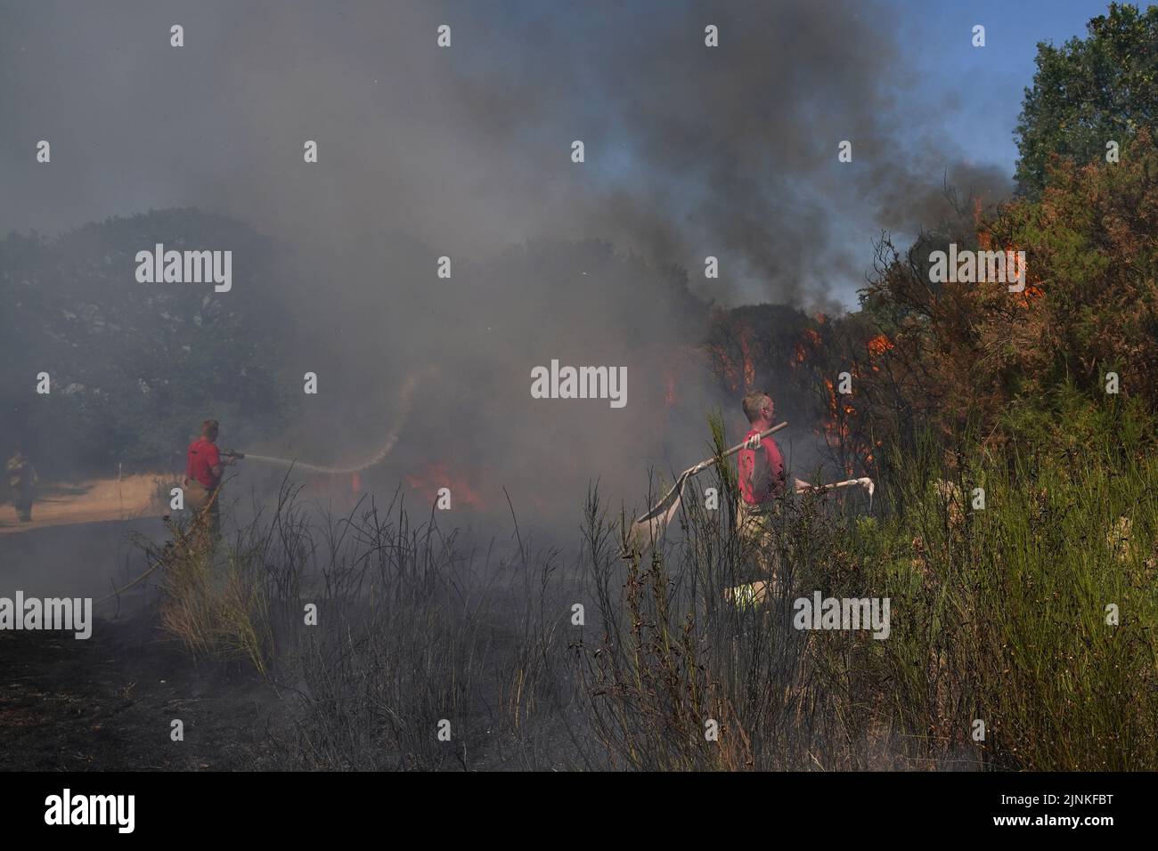 Firefighters battling a grass fire on Leyton flats in east London, as a drought has been declared for parts of England following the driest summer for 50 years. Stock Photo