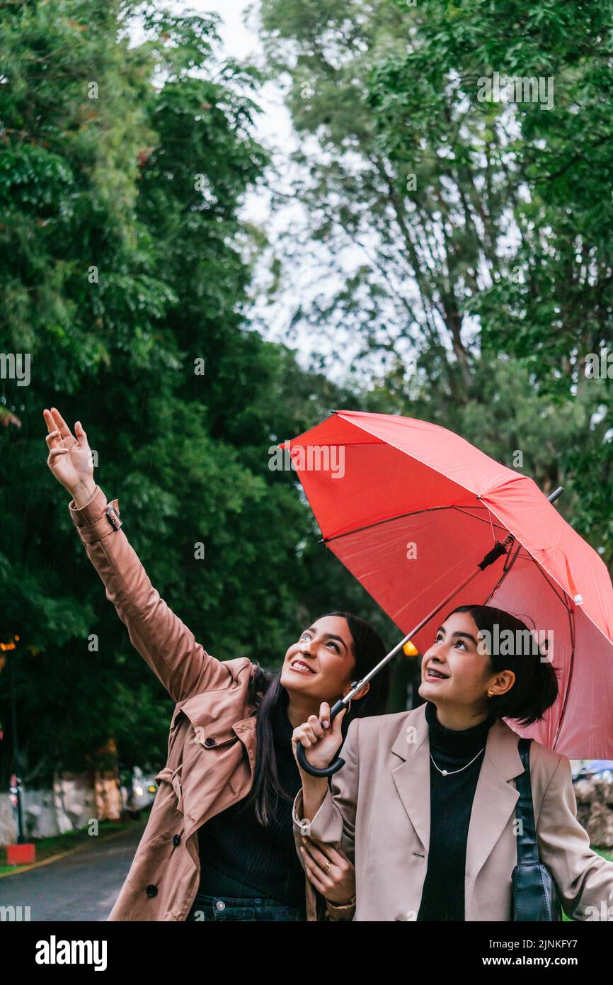 rain, umbrella, friends, rain weather, raining, umbrellas, friend, rain