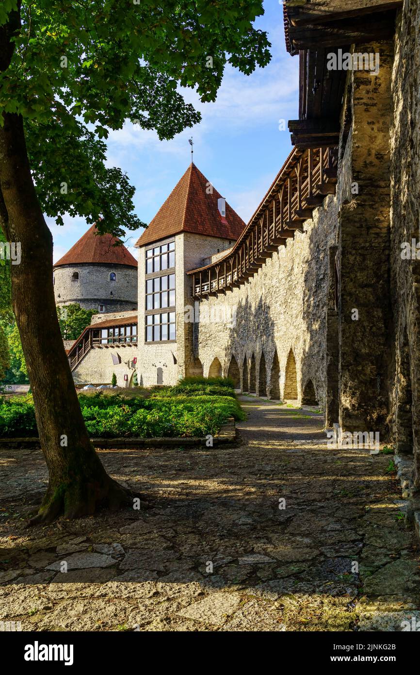 Medieval wall that surrounds the old city of Tallinn Estonia Stock ...