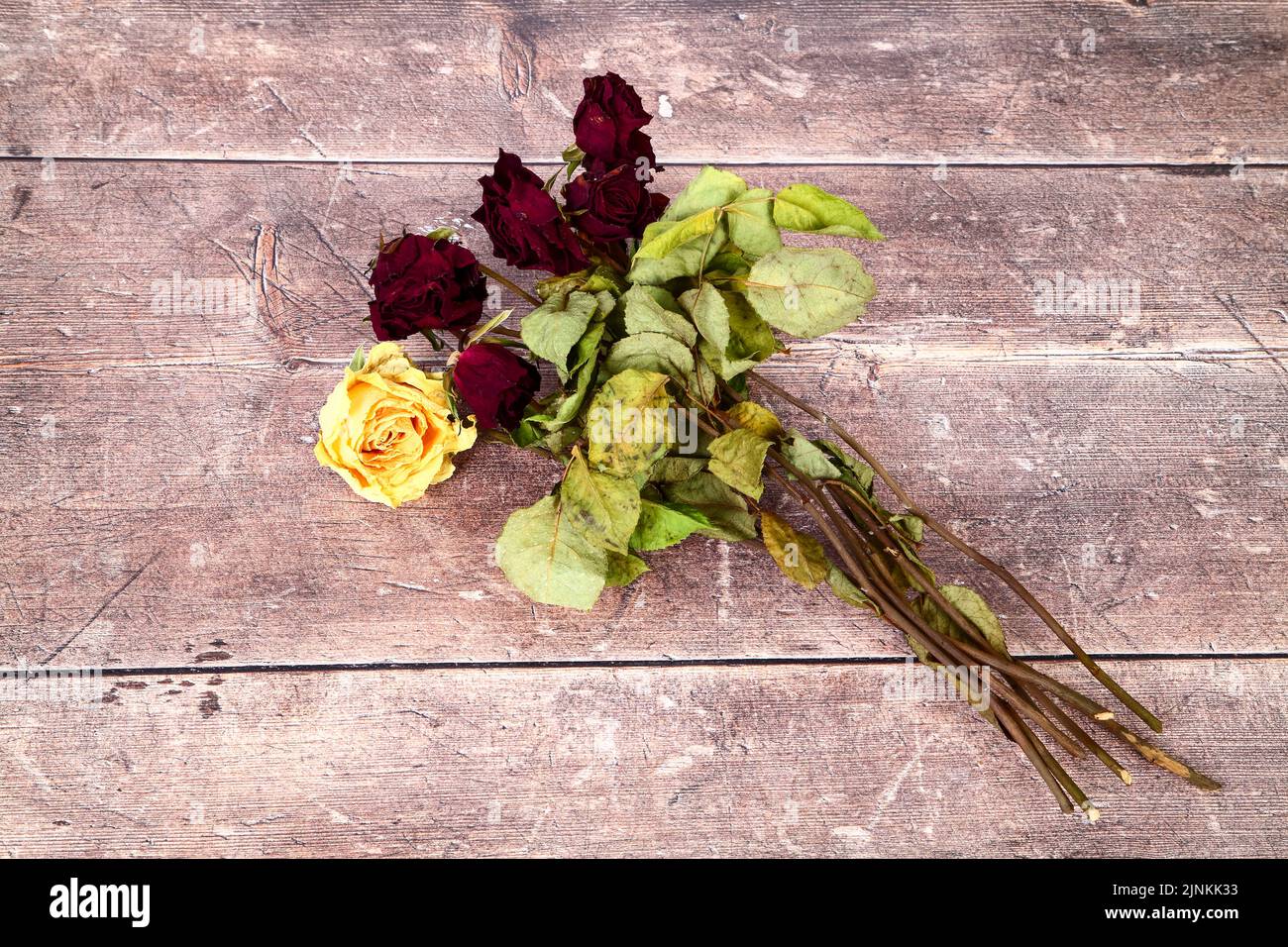 Dead wilted rose flowers on a wooden table top Stock Photo - Alamy