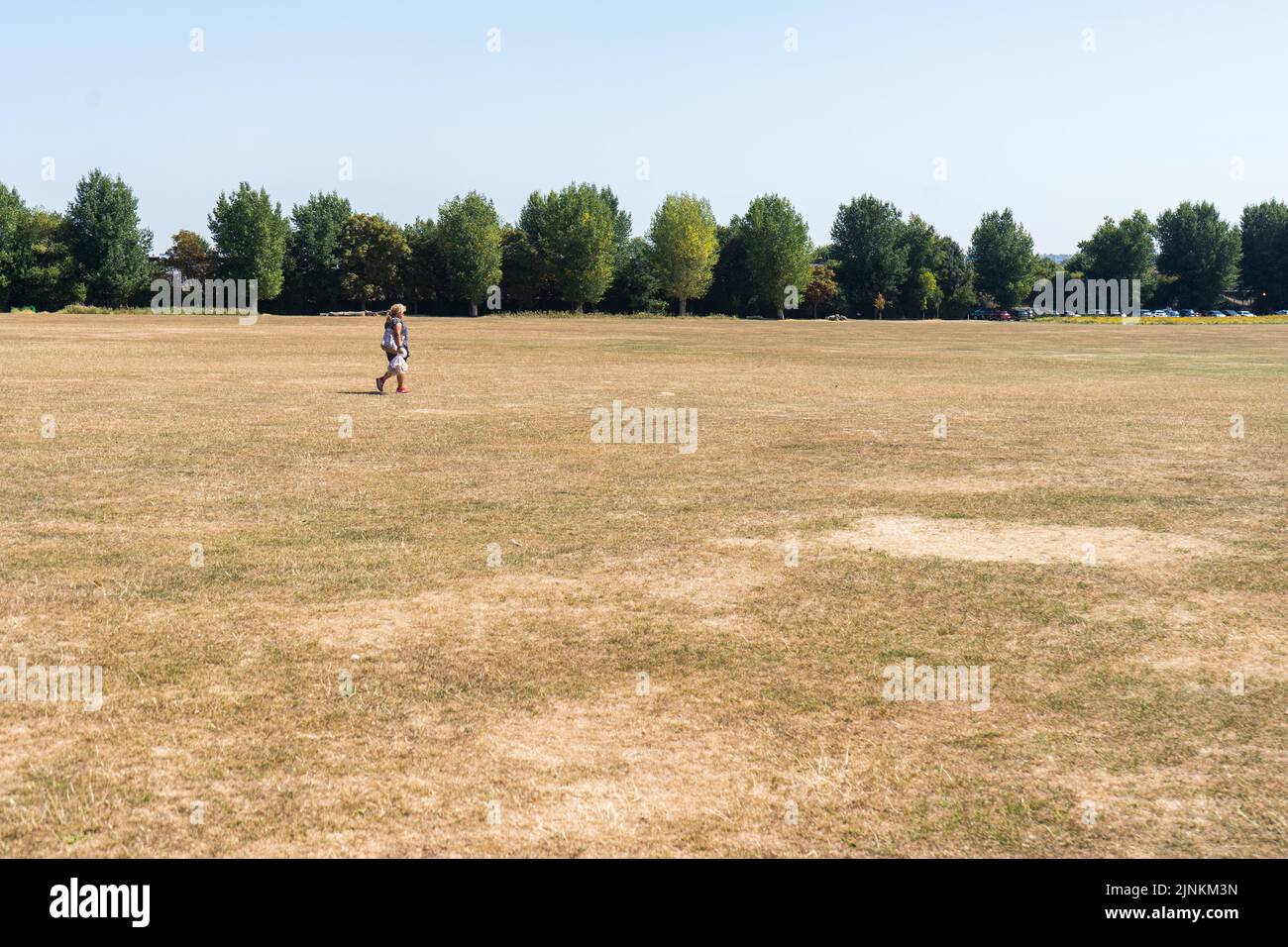 12 August 2022: Wimbledon Park, South West London, UK, in the summer heatwave of 2022 with parched grass Stock Photo