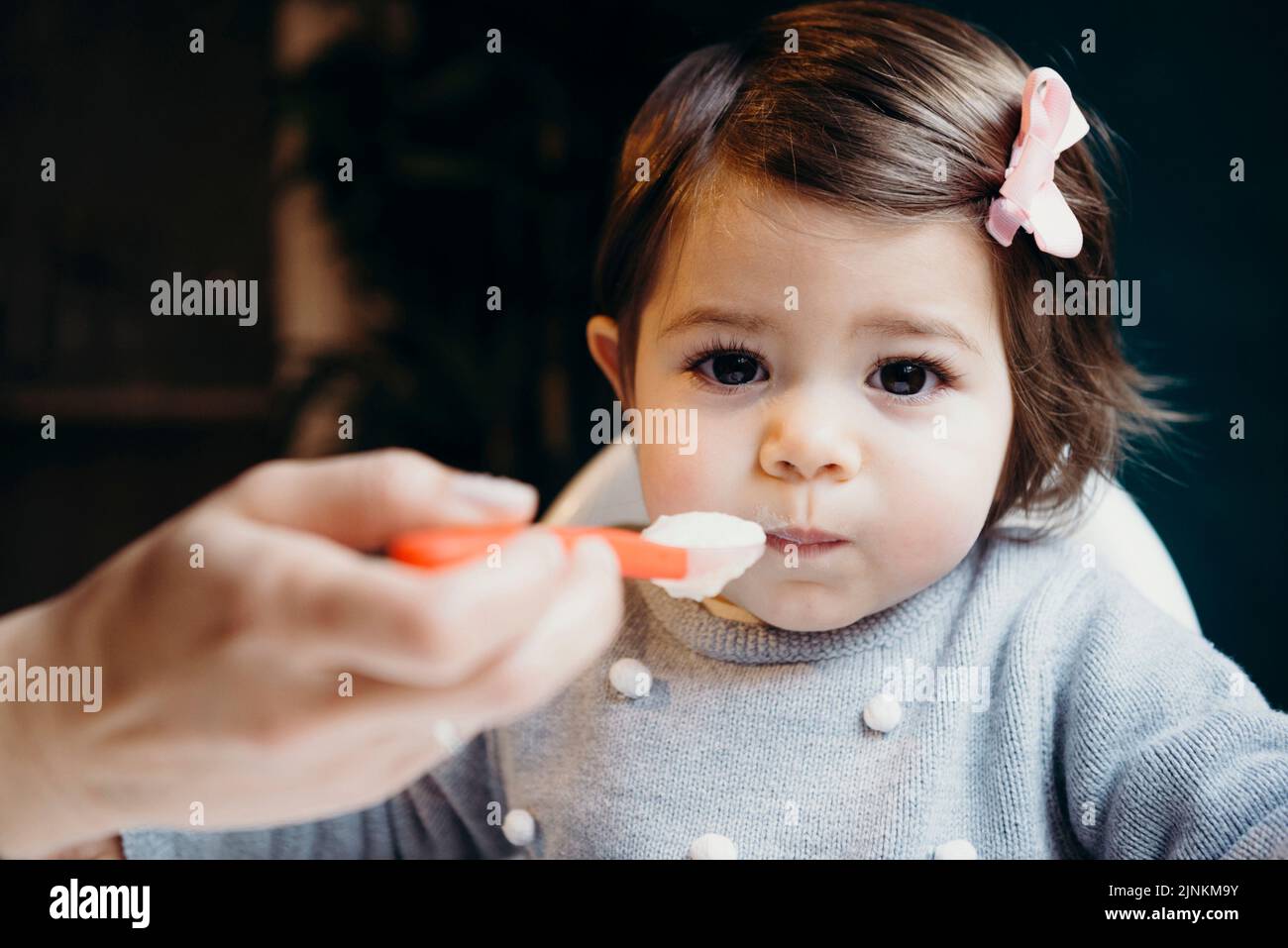 toddler, girl, feeding, mash, infant, infants, toddlers, girls, feed
