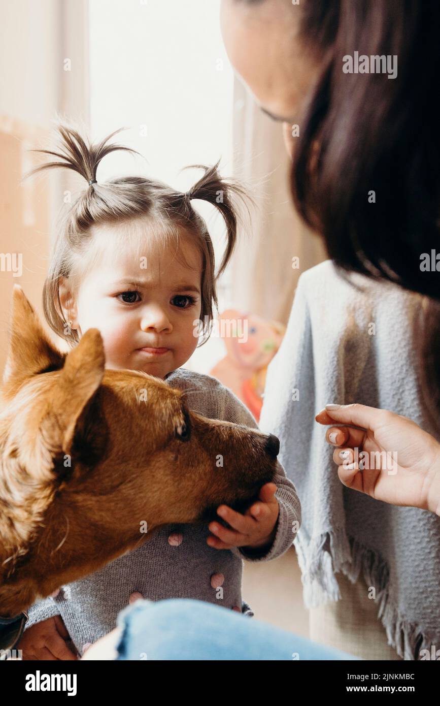 mother, dog, daughter, mom, mothers, mum, dogs, daughters Stock Photo