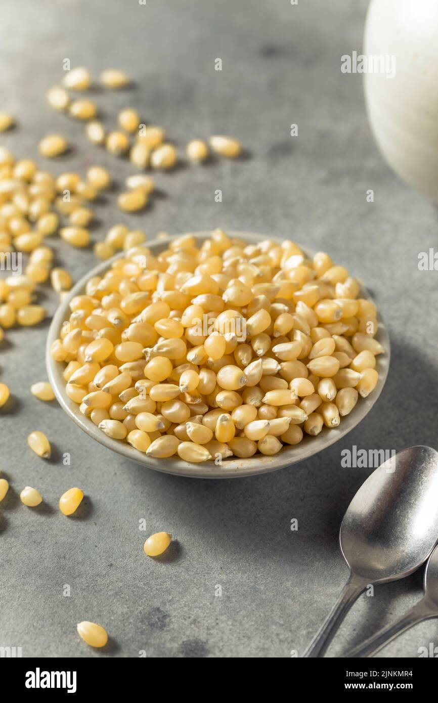 Dry Organic White Popcorn Kernels in a Bowl Stock Photo Alamy