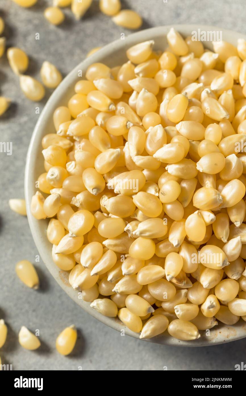 Dry Organic White Popcorn Kernels in a Bowl Stock Photo Alamy