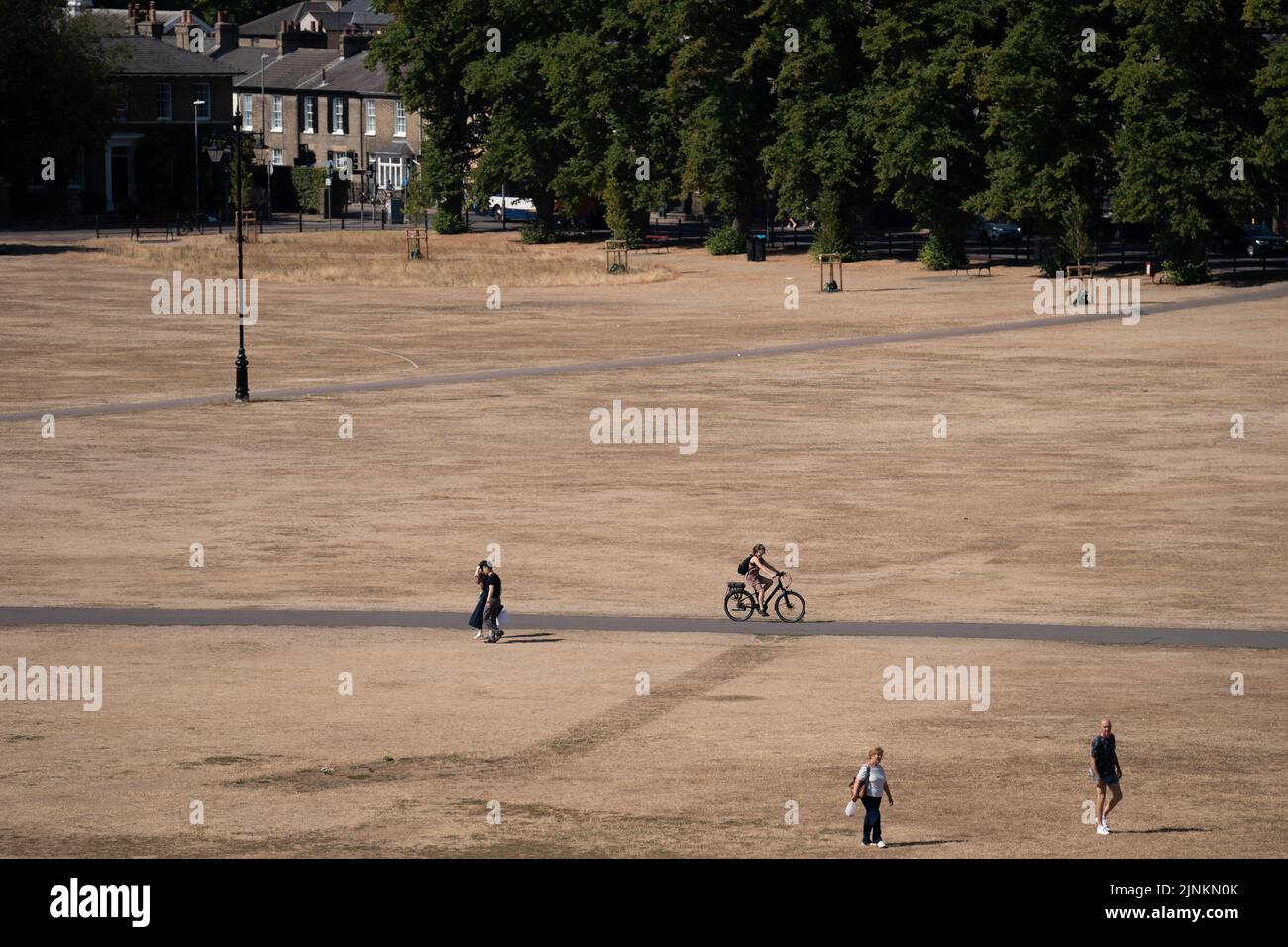 Parched grass on Parker's Piece in Cambridge, as a drought has been declared for parts of England following the driest summer for 50 years. Picture date: Friday August 12, 2022. Stock Photo