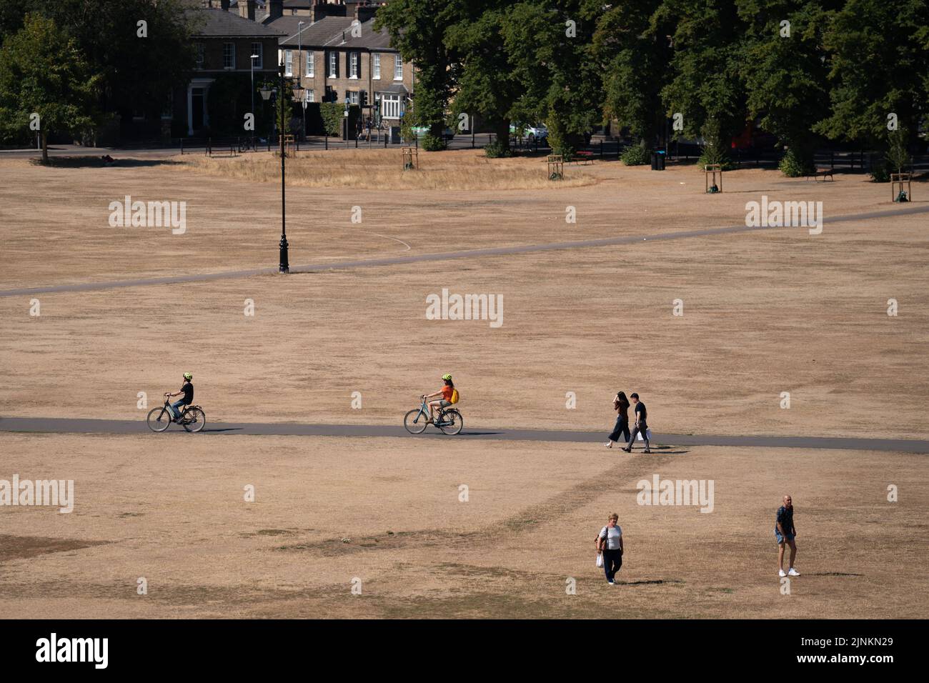 Parched grass on Parker's Piece in Cambridge, as a drought has been declared for parts of England following the driest summer for 50 years. Picture date: Friday August 12, 2022. Stock Photo