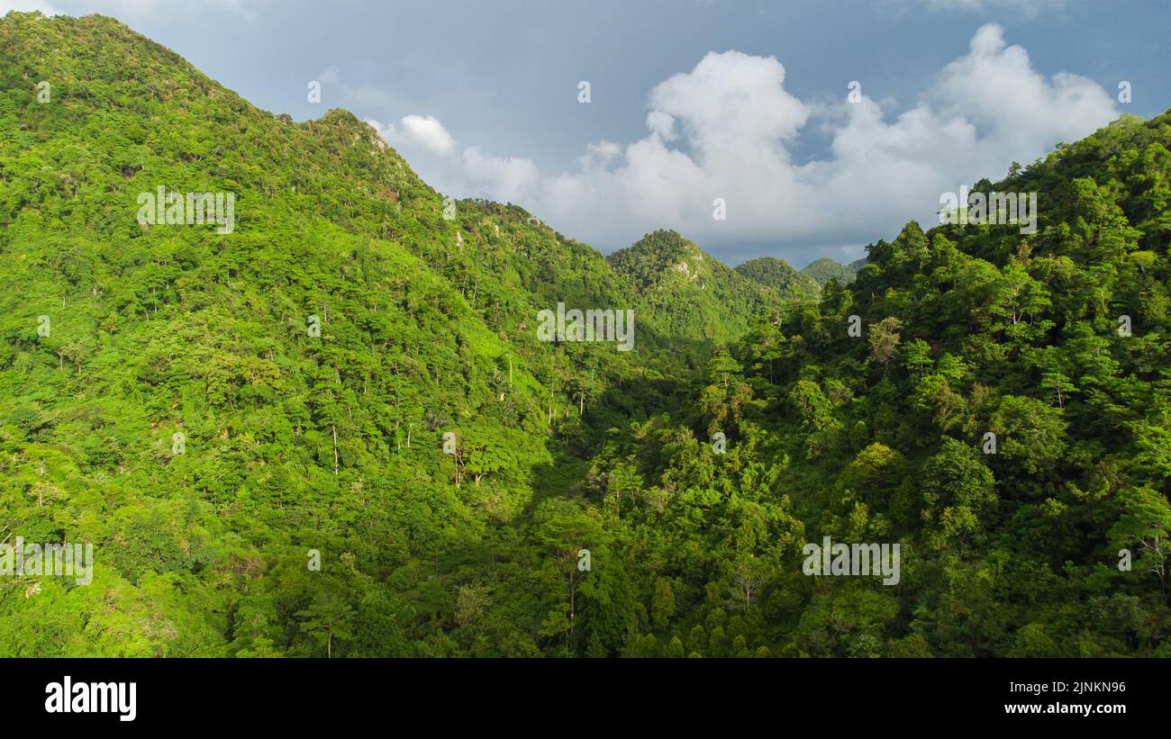 Lush Tropical Rainforest Landscape with Rolling Hills and Green Canopy ...