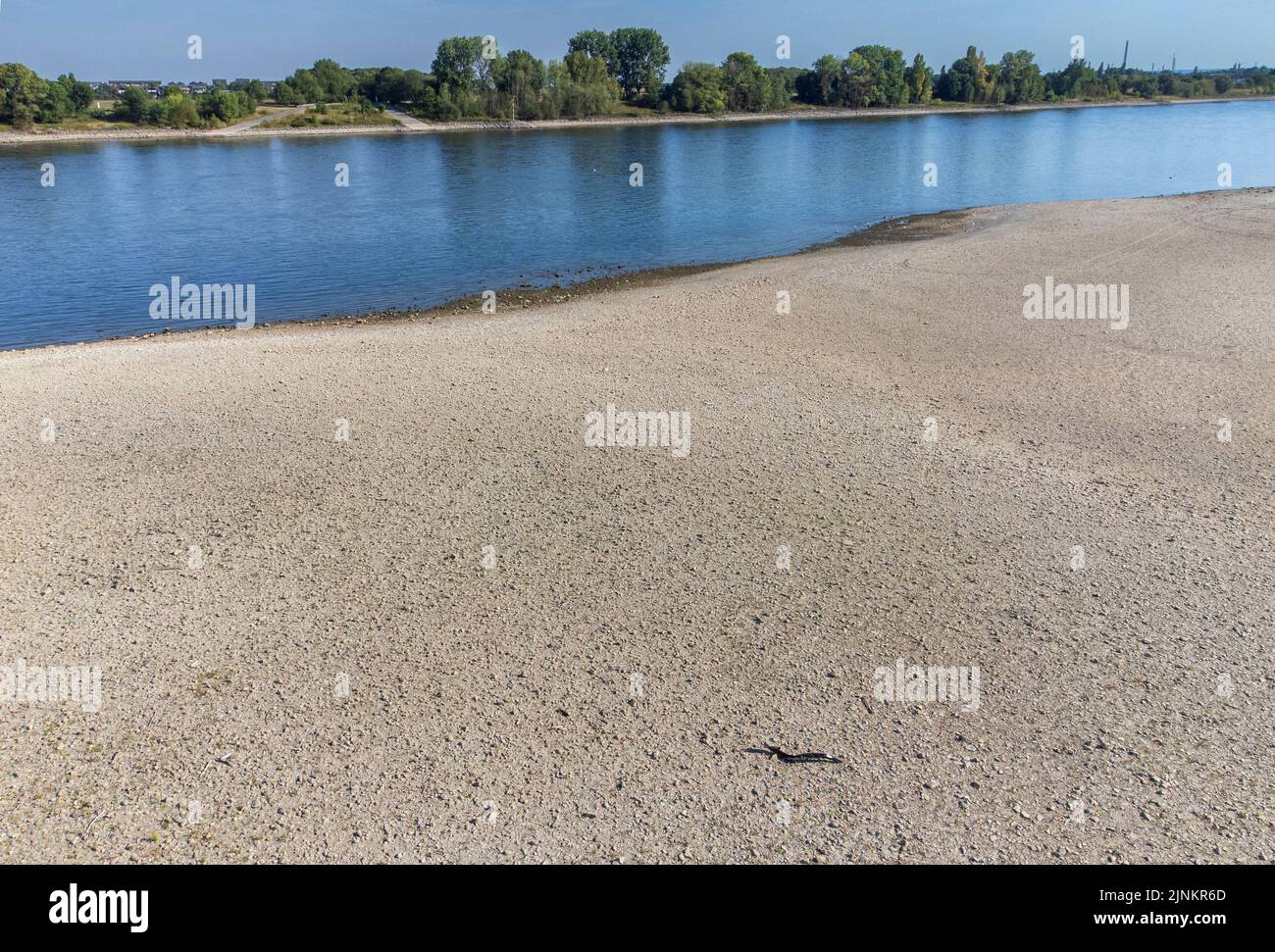 Niedrigwasser am Rhein, im Bild Kšln-SŸrth.   Das Niedrigwasser am Rhein hat schon jetzt Auswirkungen auf die Schifffahrt, so kšnnen die Schubschiffe Stock Photo