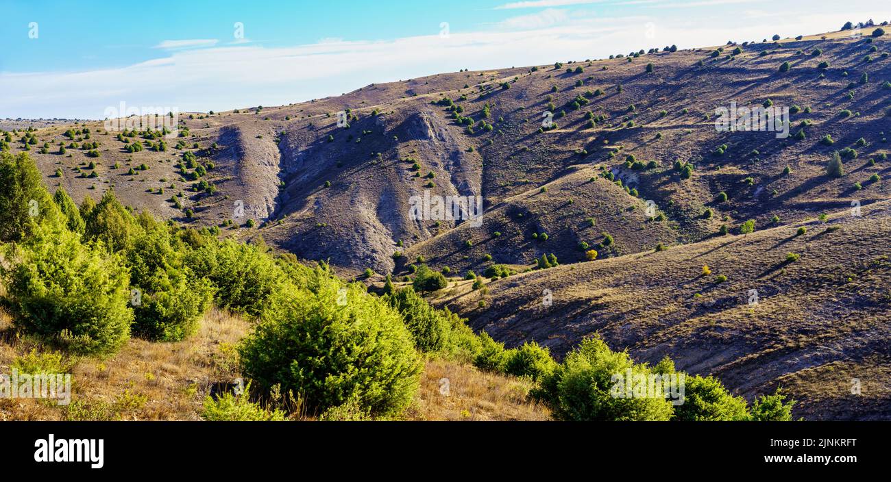 Mountain landscape with ravines and small trees with long shadows Stock ...