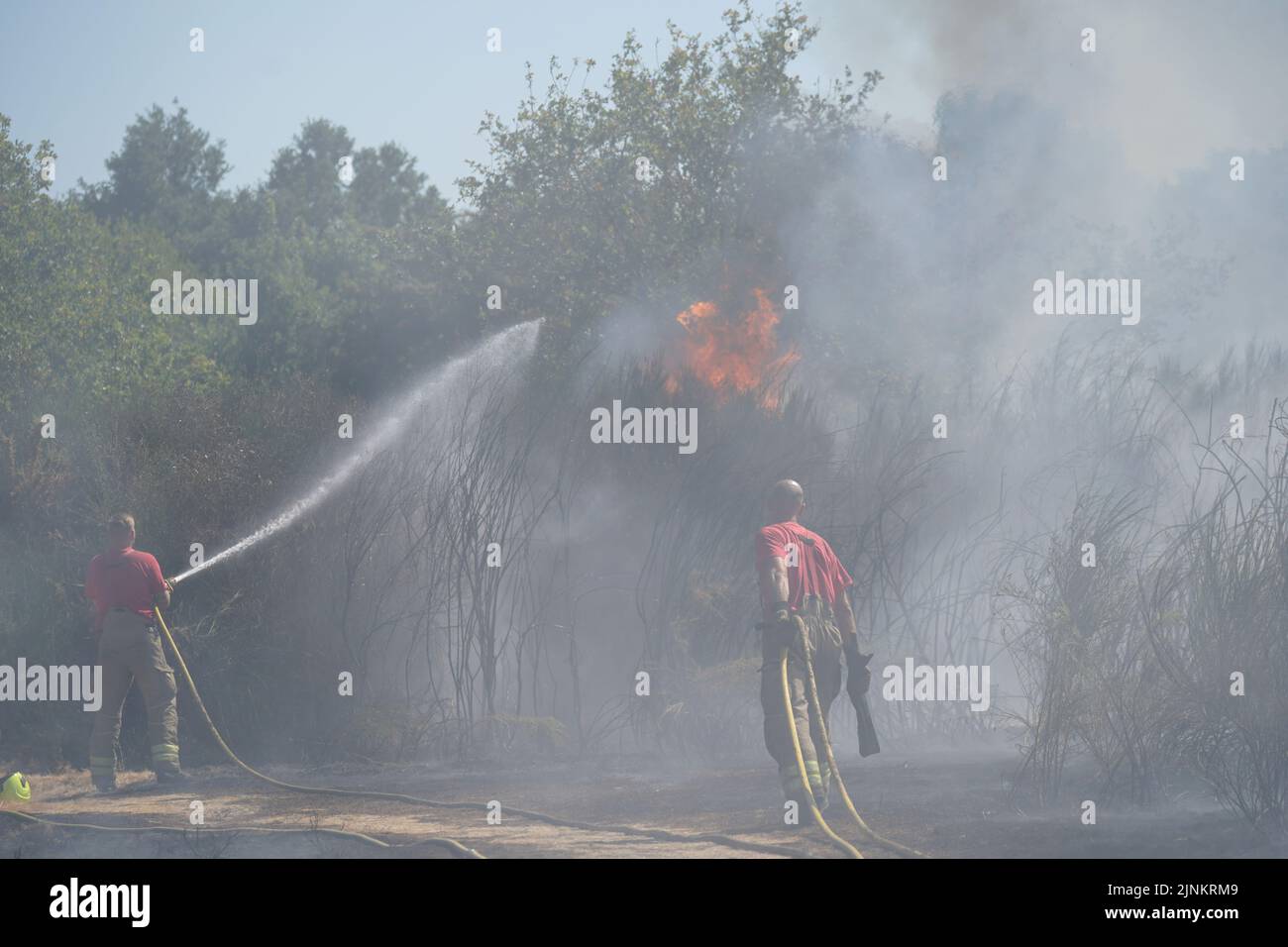 Firefighters battling flames from a grass fire on Leyton flats in east London, as a drought has been declared for parts of England following the driest summer for 50 years. Stock Photo