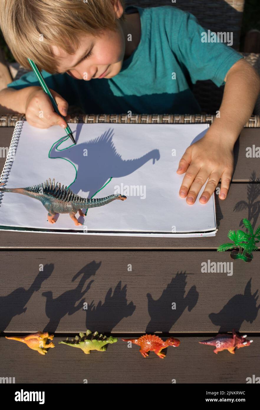 child draws contrasting shadows from dinosaur toy figures on a bright sunny day. creative ideas for children's creativity. Selective focus Stock Photo