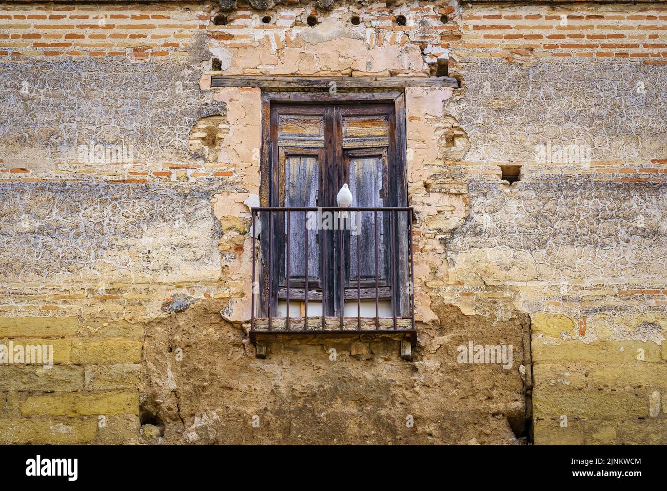 The Railing Medieval White dove perched on the railing of an old medieval balcony. Cordoba ...