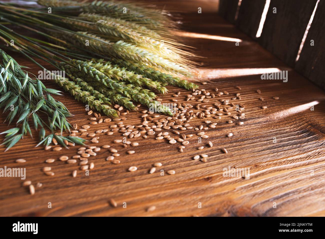 cereal grain, grain, cereal grains, grains Stock Photo Alamy