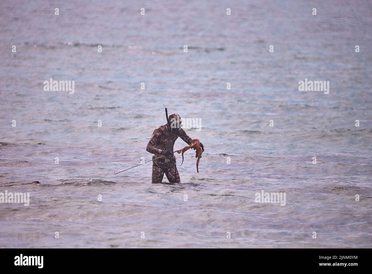 May 25, 2018, Underwater fisherman fights with large octopus out of the water Stock Photo