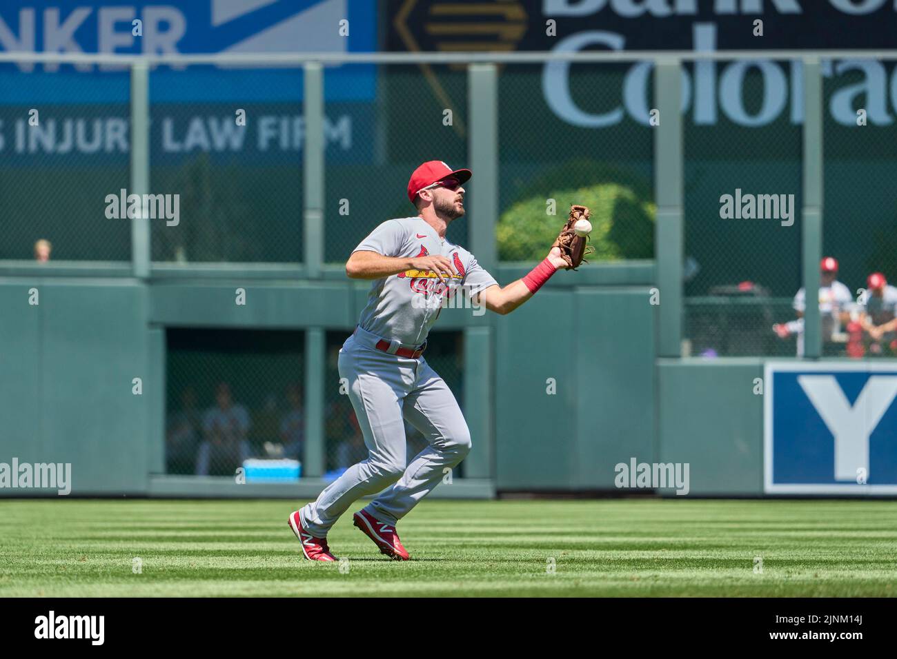 August 11 2022: Saint Louis shortstop Paul DeJong (11) makes a play the hard way after dropping a ball during the game with Saint Louis Cardinals and Colorado Rockies held at Coors Field in Denver Co. David Seelig/Cal Sport Medi Credit: Cal Sport Media/Alamy Live News Stock Photo