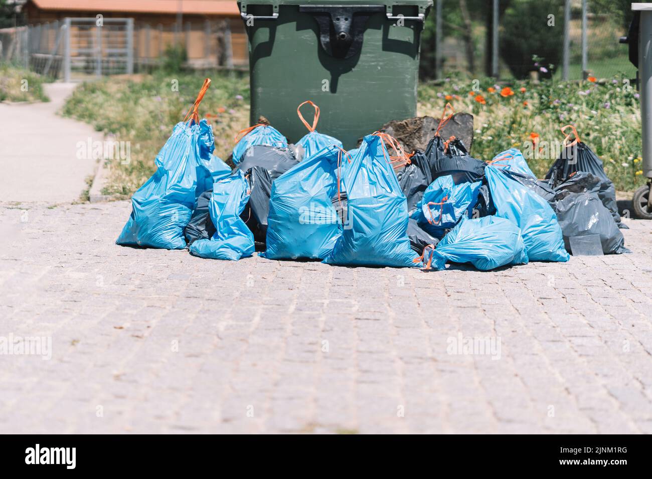 garbage, plastic bag, waste, waste disposal, garbages, plastic bags