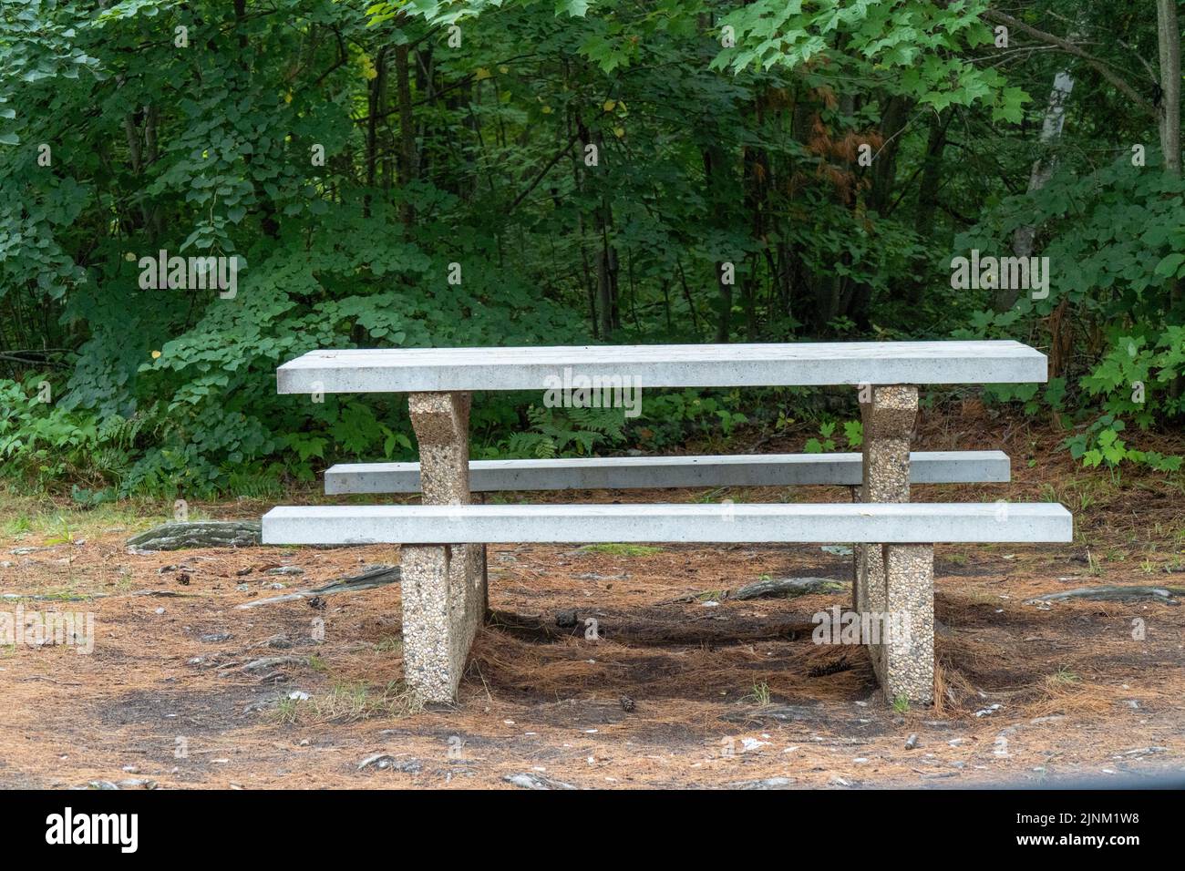 stone picnic table in park on a cloudy summer day Stock Photo Alamy