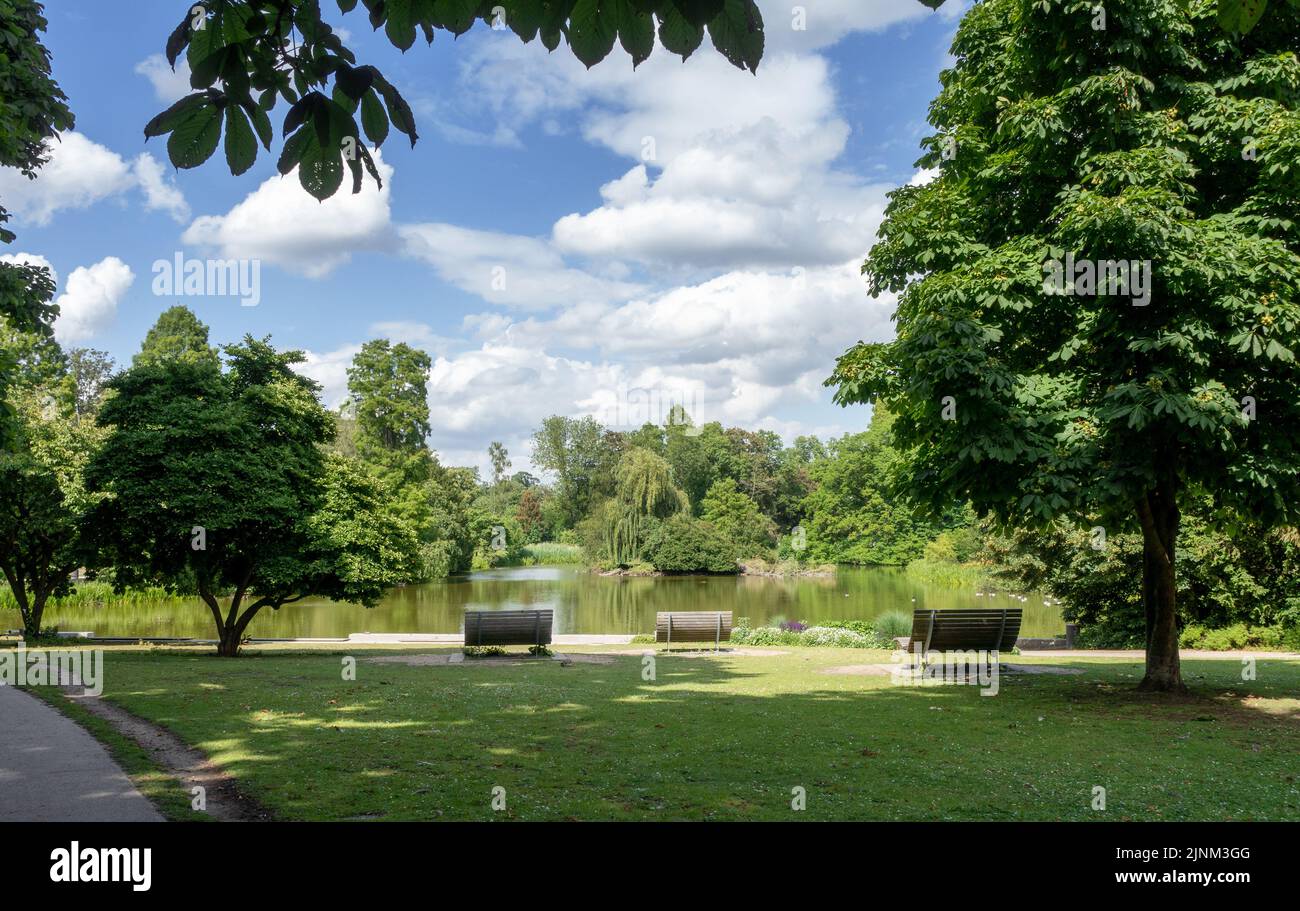 lake, park, zoologischer garten, lakes, parks Stock Photo