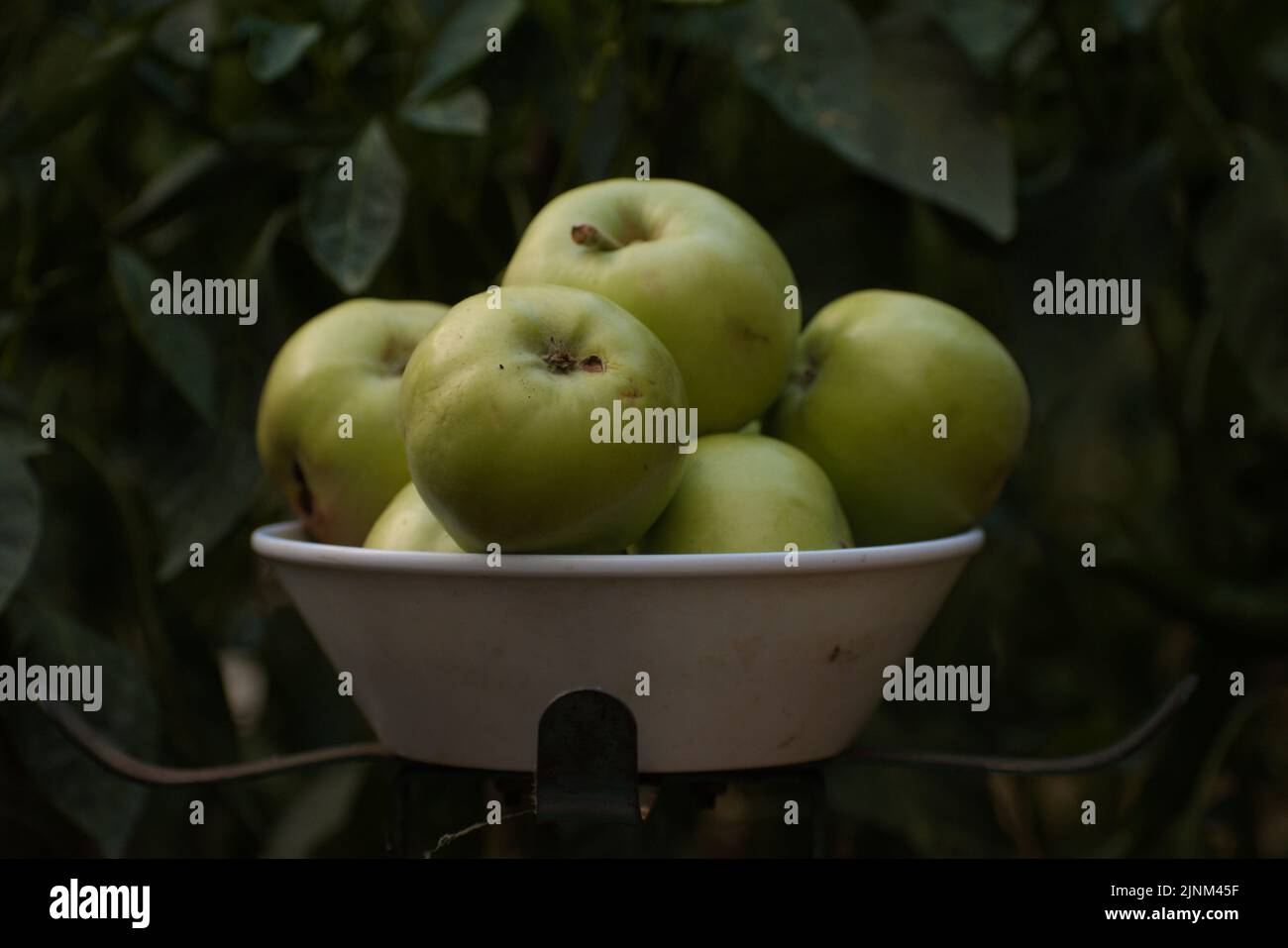 Organic granny smith hi-res stock photography and images - Alamy