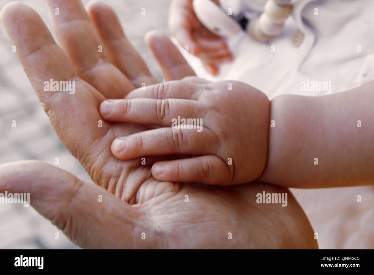child's hand, security, trust, child's hands, securities, trusts Stock Photo