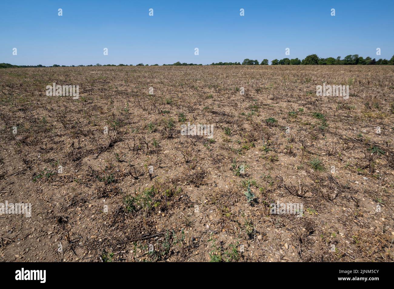Stephen bone hires stock photography and images Alamy
