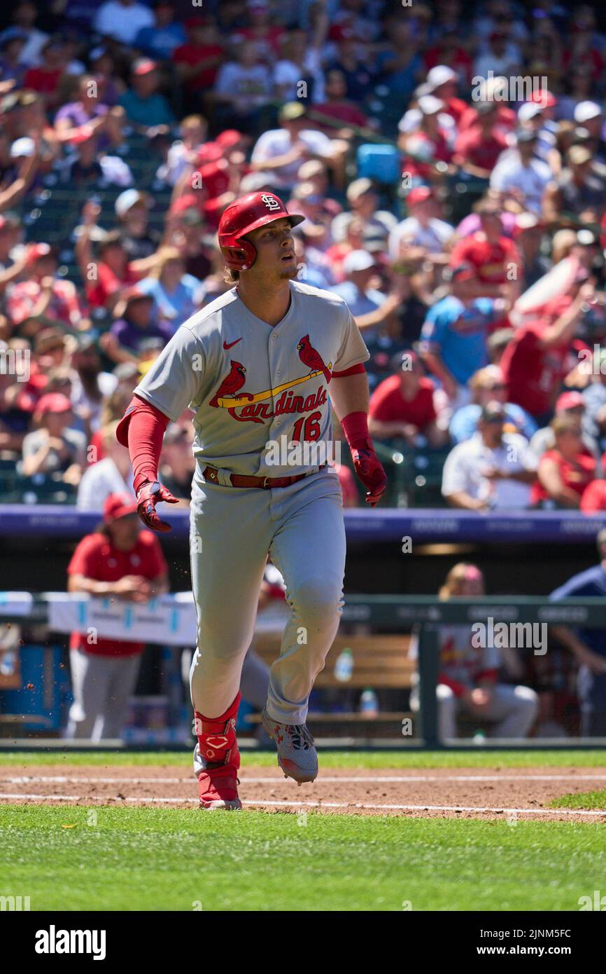 August 11 2022: Saint Louis second baseman Nolan Gorman (16) hits a homer during the game with Saint Louis Cardinals and Colorado Rockies held at Coors Field in Denver Co. David Seelig/Cal Sport Medi Credit: Cal Sport Media/Alamy Live News Stock Photo
