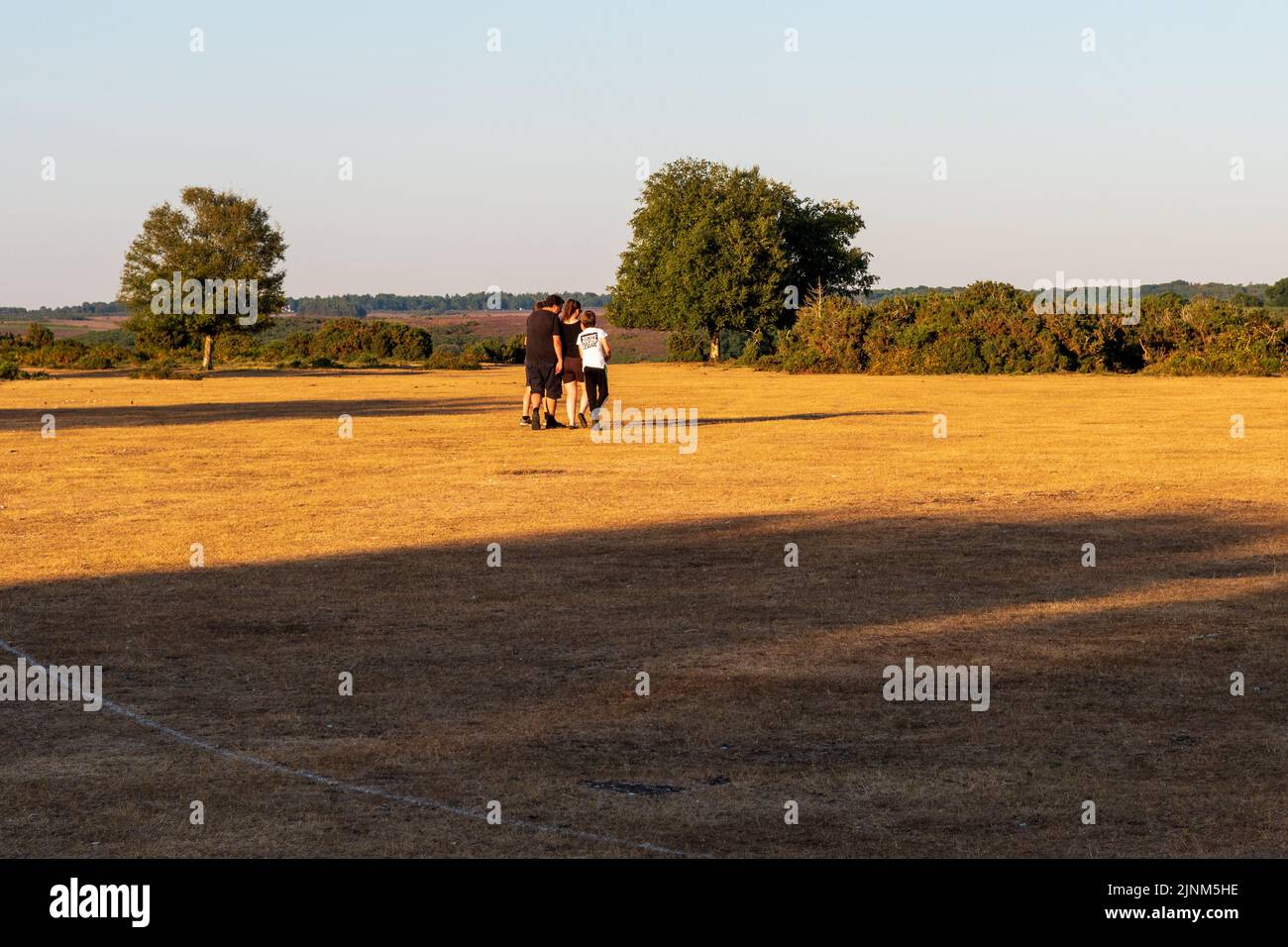 Family walking on parched grass in evening sunlight at Godshill, New Forest, Hampshire, UK, during hot dry weather and drought, August, 2022. Stock Photo