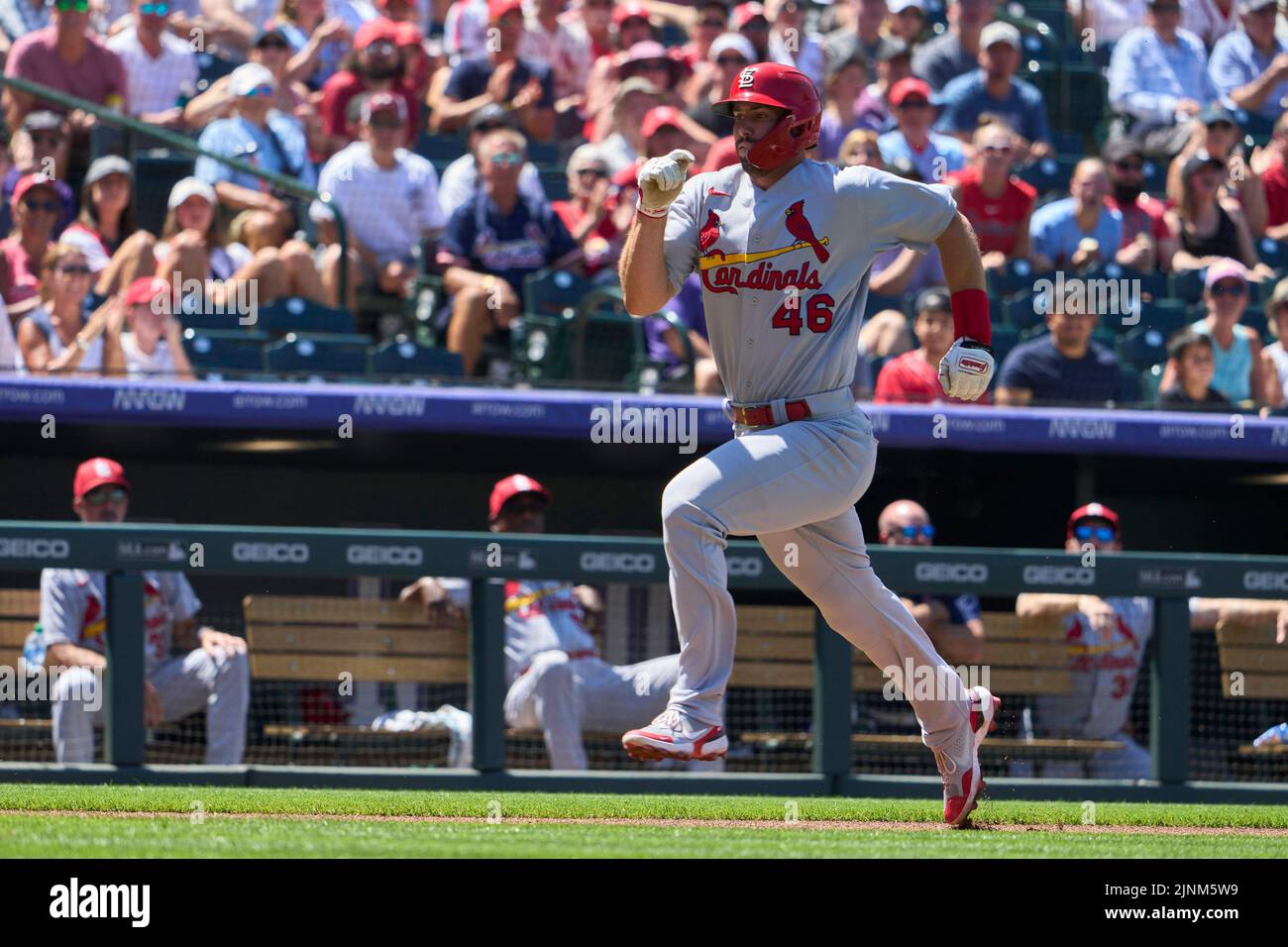 August 11 2022: Saint Louis first baseman Paul Goldschmidt (46) runs home during the game with Saint Louis Cardinals and Colorado Rockies held at Coors Field in Denver Co. David Seelig/Cal Sport Medi Credit: Cal Sport Media/Alamy Live News Stock Photo
