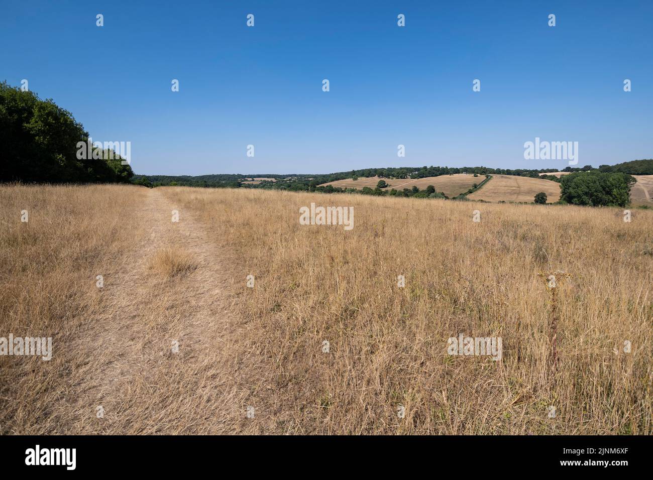 Chorleywood hires stock photography and images Alamy