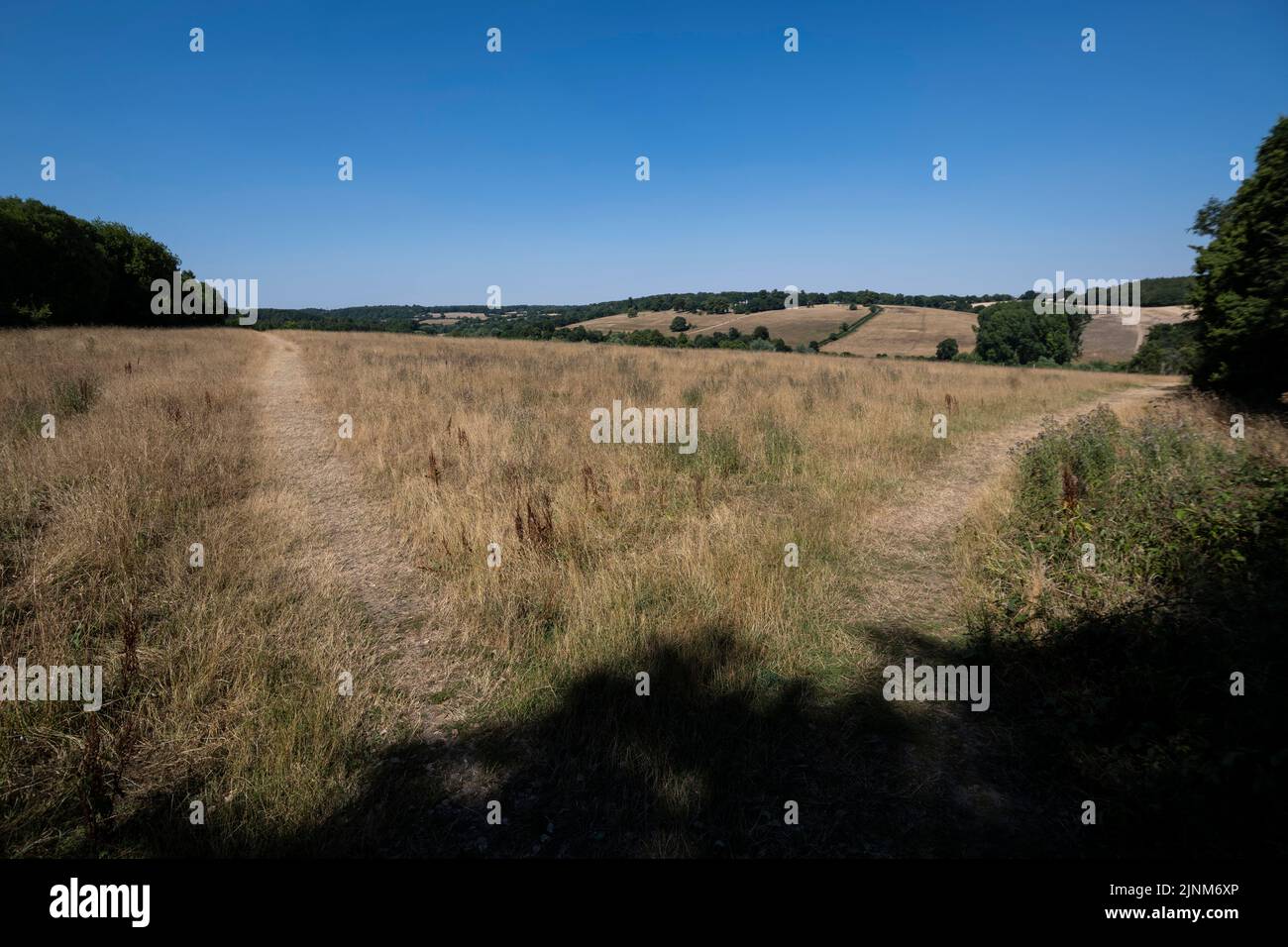 Chorleywood, UK. 12 August 2022. UK Weather Parched fields near