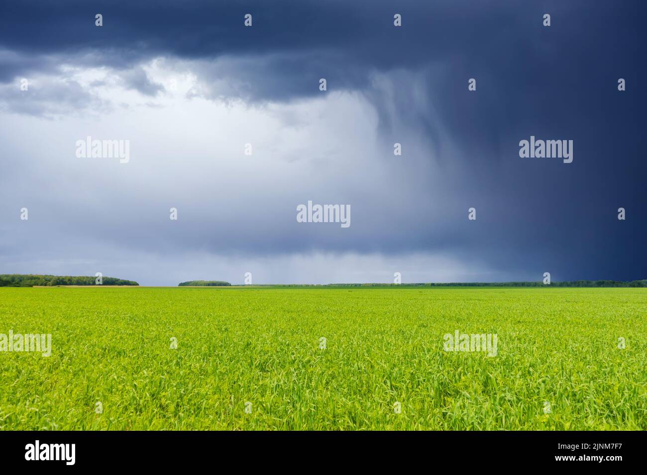 Field and clouds. Dark stormy sky and fresh, green grass. Stock Photo