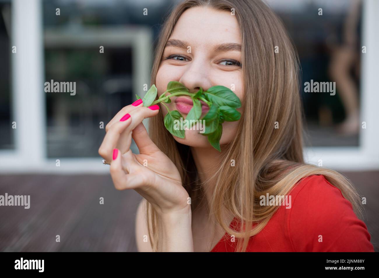 Young basil leaves hires stock photography and images Alamy