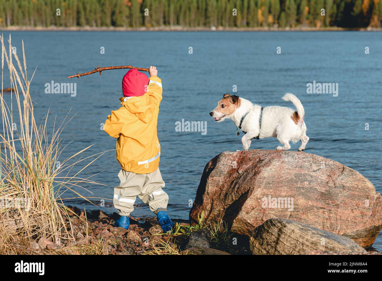 Little girl wearing bright and colourful waterproof clothing and rubber boots throwing wooden stick to dog. Family playing at Fall beach of Northern s Stock Photo