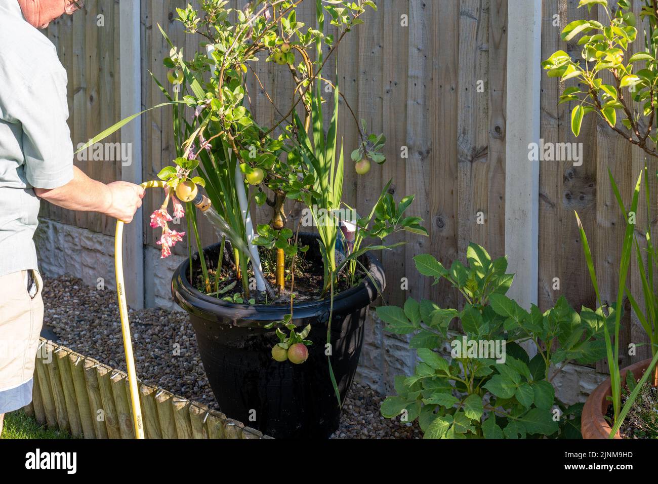 A retired man and keen gardener watering his plants in West Yorkshire