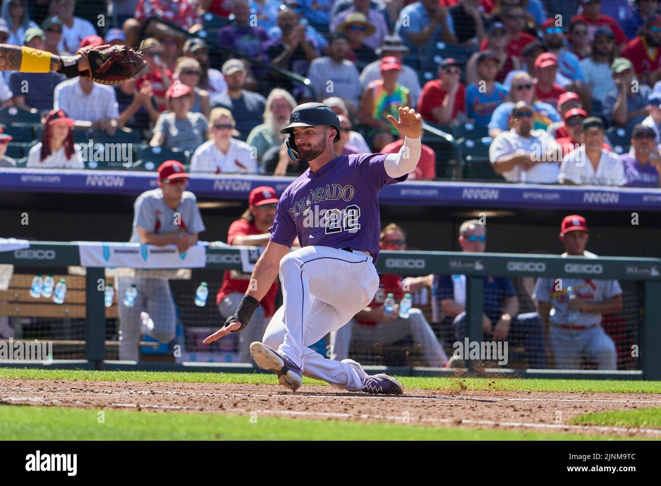 August 11 2022: Colorado left fielder Sam Hilliard (22) runs home safely during the game with Saint Louis Cardinals and Colorado Rockies held at Coors Field in Denver Co. David Seelig/Cal Sport Medi Credit: Cal Sport Media/Alamy Live News Stock Photo