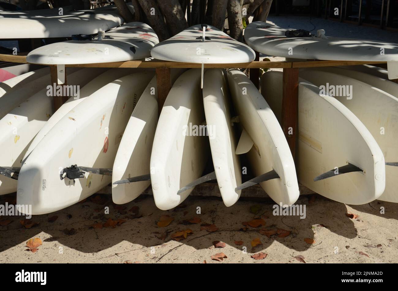 A closeup shot of white surfing boards on the beach Stock Photo